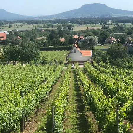Prázdninový dům Ruzsa Vendeghaz